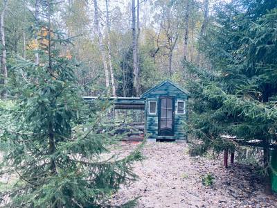 Курятник в лесу Курятник в лесу