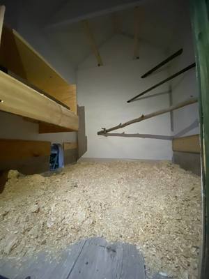 Наполнение пола в курятнике Наполнение пола в курятнике